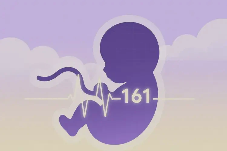 孕11周胎心161正常吗(图2)