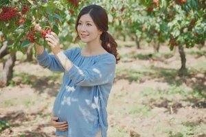 孕27周可以吃花楸吗