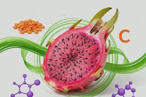 怀孕第17周吃红心火龙果可以吗