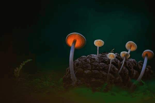 产后8个月晚上运动出汗，产后8个月晚上运动出汗好吗