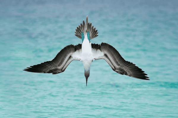 儿子左边肚子疼怎么办呢，儿子左边肚子疼怎么办呢吃什么药