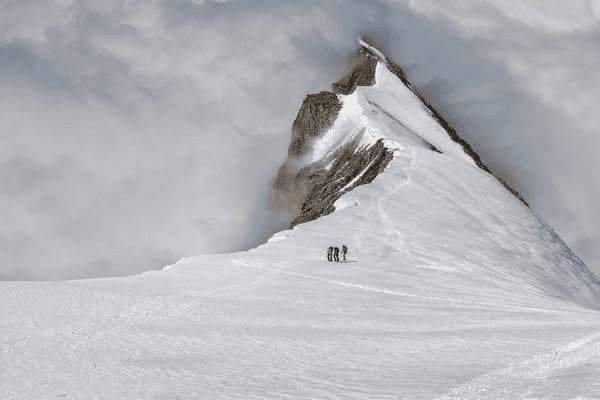 炒猪耳朵怎么切，炒猪耳朵怎么切好看