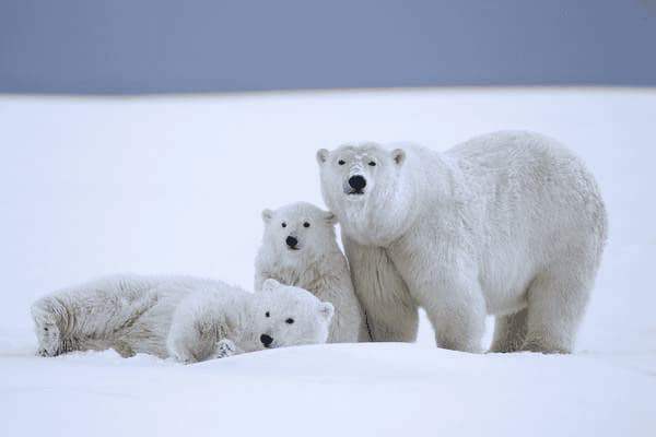 喝酒后拉稀怎么办，喝酒后拉稀怎么办吃什么药