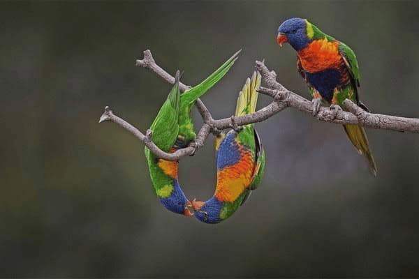 一个月怀孕能测出来吗，一个月怀孕能测出来吗?