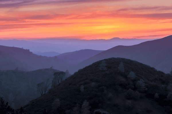 经期吃蜂蜜燕窝肚子疼吗，经期吃蜂蜜燕窝肚子疼吗怎么回事