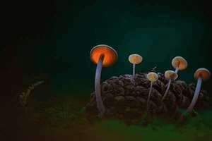 产后8个月晚上运动出汗，产后8个月晚上运动出汗好吗