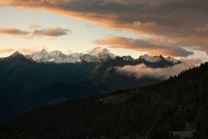 宝宝干咳初期吃什么药好，宝宝干咳初期吃什么药好得快