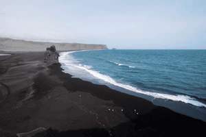吃了腌生蚝肚子疼怎么回事，吃了腌生蚝肚子疼怎么回事儿