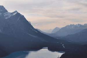 吃什么药可以治疗痛风，吃什么药可以治疗痛风呢