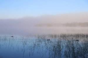 吃鸡蛋喝奶粉好吗，吃鸡蛋喝奶粉好吗