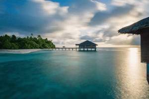 耳朵里面长了长毛好吗吗，耳朵里面长了长毛好吗吗女生