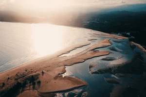 肺癌发病原因有哪些，肺癌发病原因有哪些症状