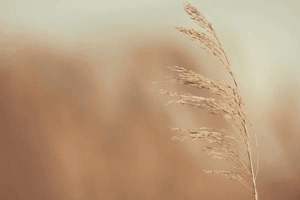 坐月子能20几天了，坐月子20几天了大姨妈还有怎么办