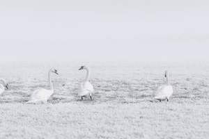 为什么牙齿老是坏，为什么牙齿老是坏掉