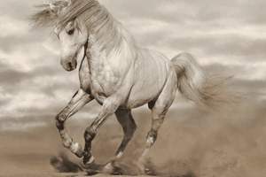 什么方法能让脸上痘痘变少，什么方法能让脸上痘痘变少一点