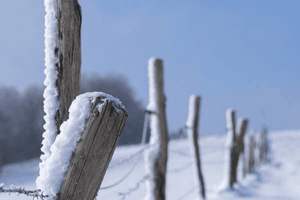 喝维生素b能防止蚊子吗，吃维生素b可以防蚊子吗