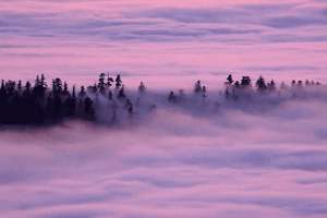 膝盖不好可以练太极吗，膝盖不好可以练太极吗女