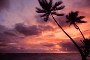 腿血管扩张要怎么治疗，腿血管扩张要怎么治疗好