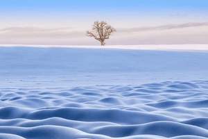 大便绿色很臭怎么回事啊，大便绿色很臭怎么回事啊女性