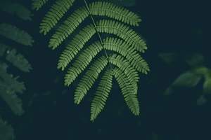 你叫什么肚子疼，我叫什么肚子疼