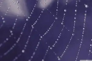 小孩子拉绿屎是什么原因，小孩子拉绿屎是什么原因?