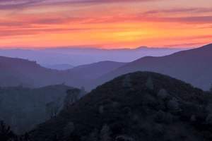 额头长很多闭口怎么回事，额头长很多闭口怎么回事儿