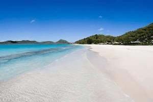 沙棘排毒胶囊是中药吗，沙棘排毒胶囊是中药吗还是西药