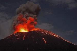 为什么出汗会有臭味，为什么出汗会臭臭的