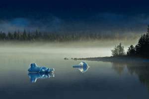 狗舌头上出汗是怎么回事，狗舌头上出汗是怎么回事啊